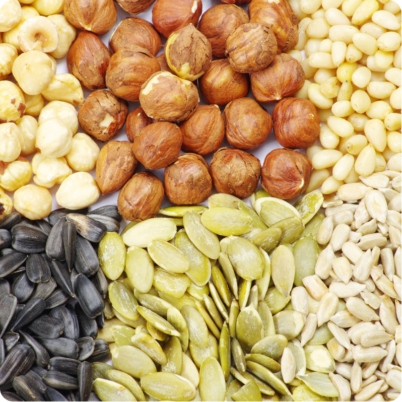 a few different seeds and nuts in separate piles